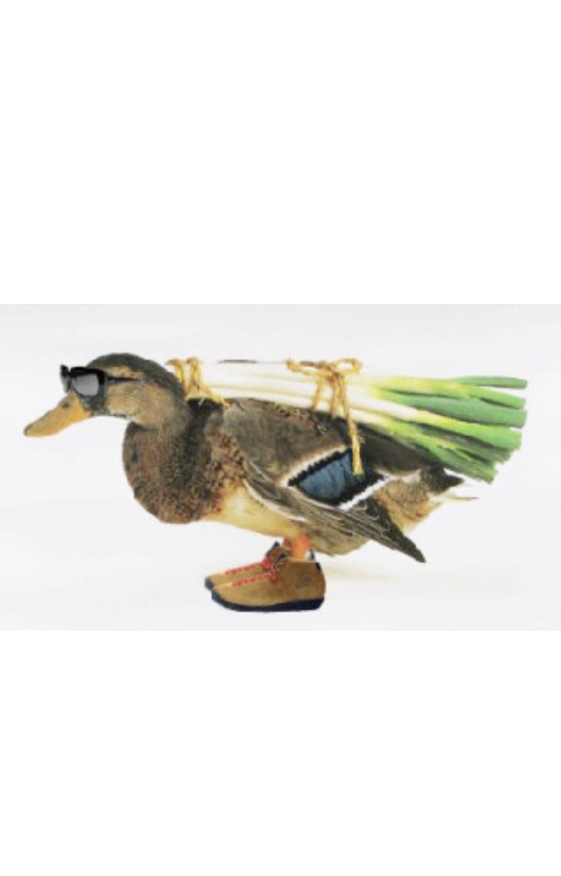 鴨